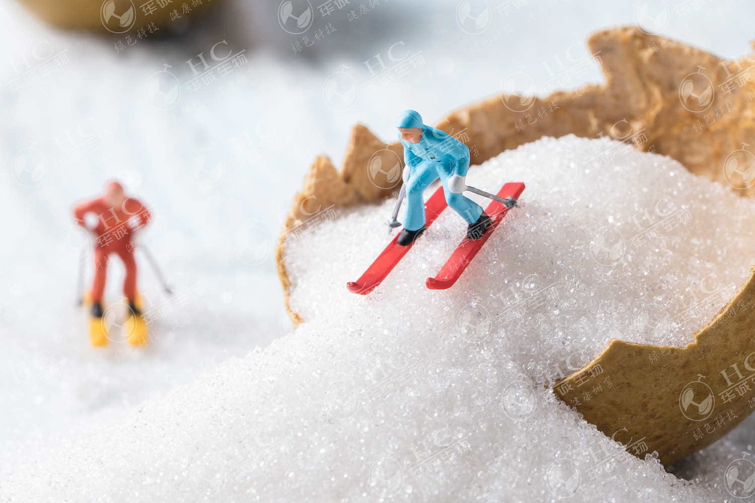 罗汉果被誉为“东方神果”,在中国的历史长河中一直是一种重要的药食两用资源。其所含的罗汉果甜苷是一种天然甜味剂,甜度大约是蔗糖的300倍,但是不产生热量,在当今是饮料、糖果、烘焙等行业的名贵原料,是糖尿病、肥胖群体的最佳代糖。罗汉果复配糖是提取自新鲜罗汉果果实的…